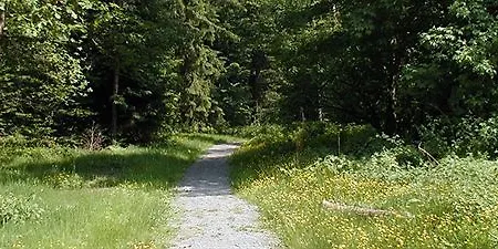 Hotel Am Bad-wald 3*